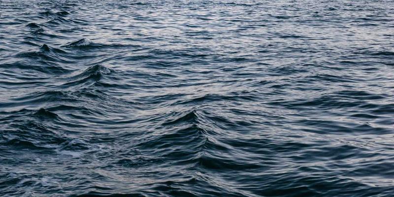 2024购车全攻略:新车上市动态与价格解析,助您做出明智选择