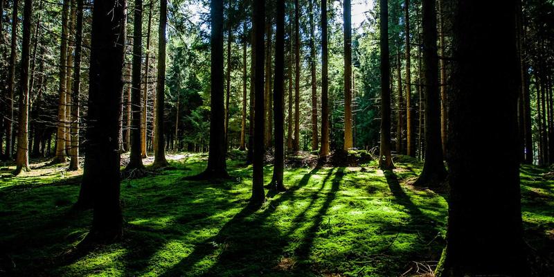 698汽车价格解析：GL8、赛那、D9等热门MPV新车上市，家庭与商务如何选？