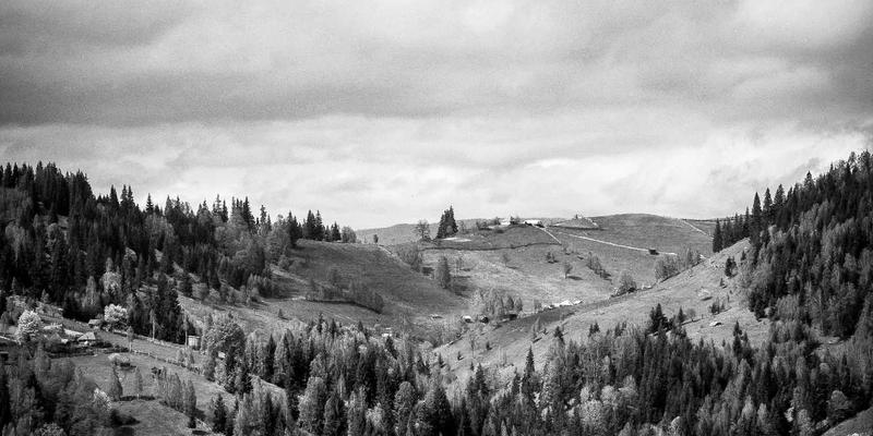 从购车指南到车型评测:698汽车资讯全攻略