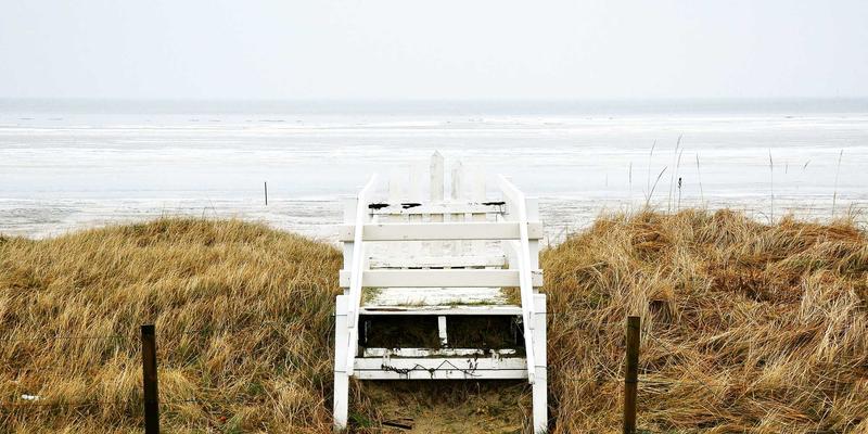 新车上市季，家庭第二辆车怎么选？纯电、燃油、混动深度对比与保养策略