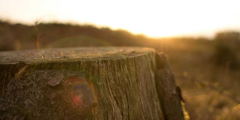 汽车价格与保养新参考：中保研2024碰撞测试揭示698汽车安全性能真相