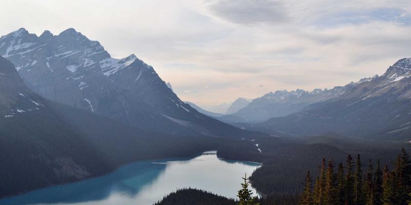 硬派越野车选购指南：从城市SUV到专业越野，不同价位车型能力解析 | 698汽车