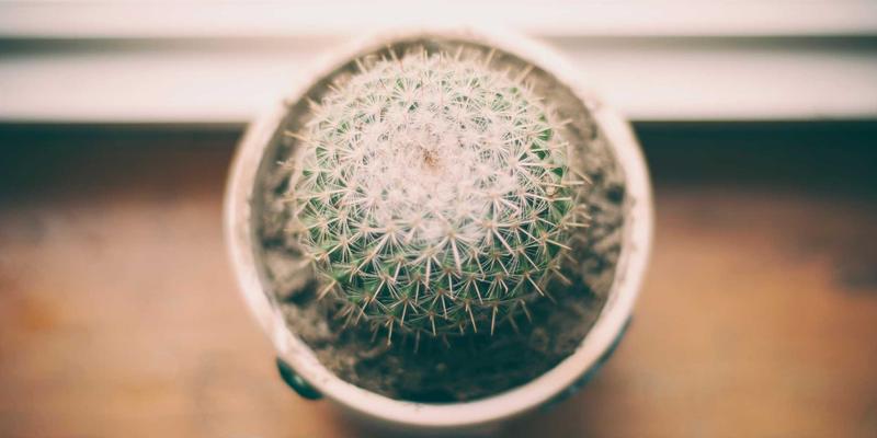 轮胎选购全攻略：匹配你的车型，从品牌、型号到静音/操控/耐磨性能解析